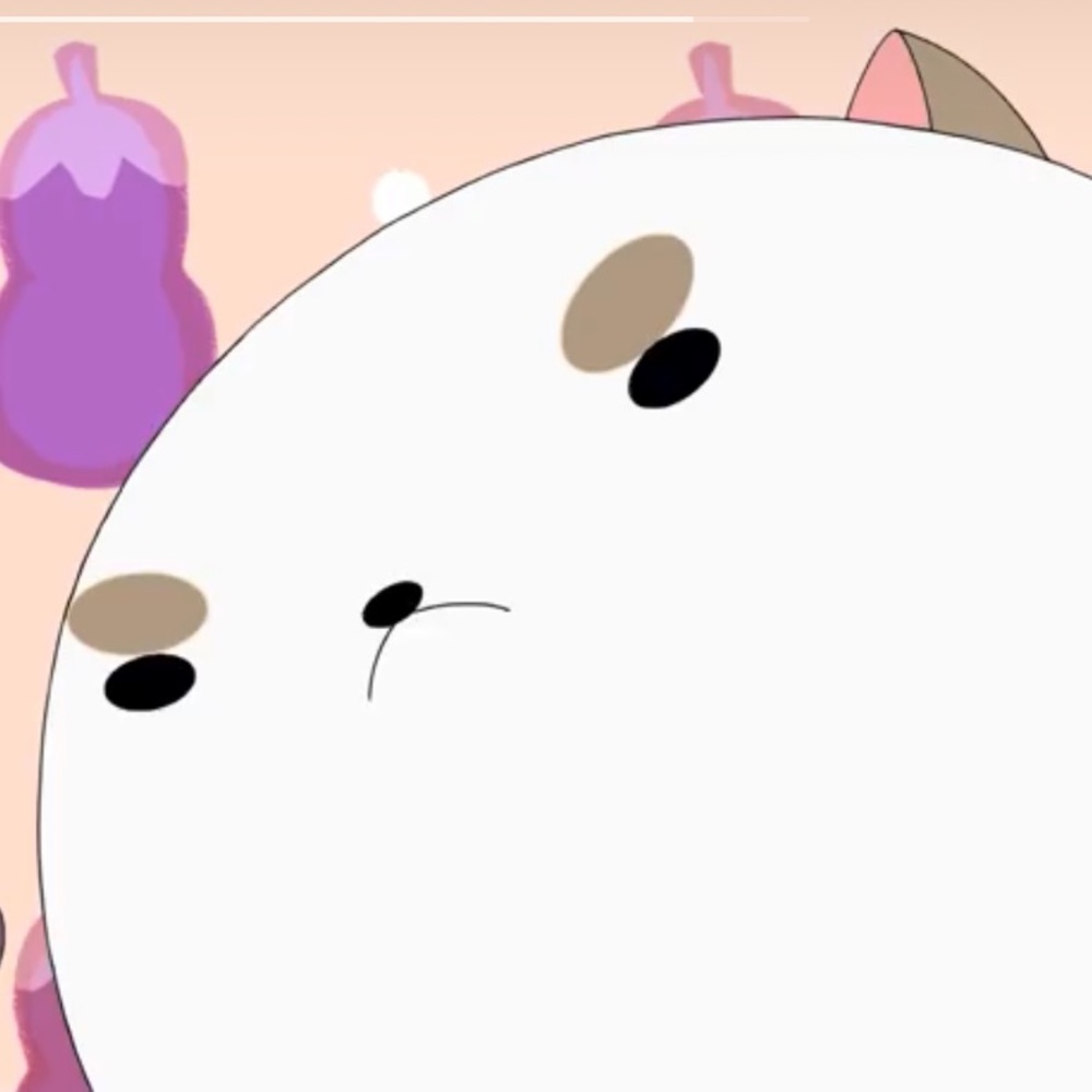 Meet your Posher, Marshe